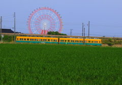 青田と観覧車とカボチャ電車