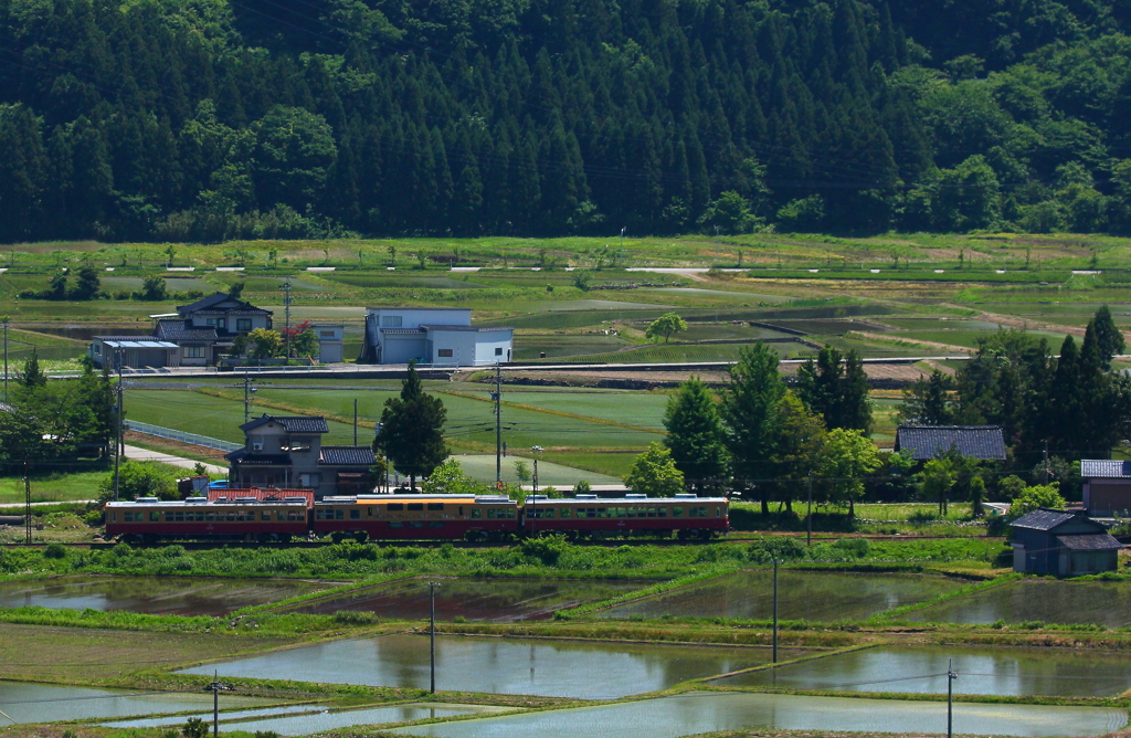 水田沿いを走るダブルデッカー君