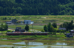 水田沿いを走るダブルデッカー君