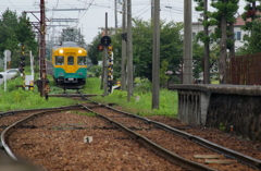 かぼちゃ君~♪