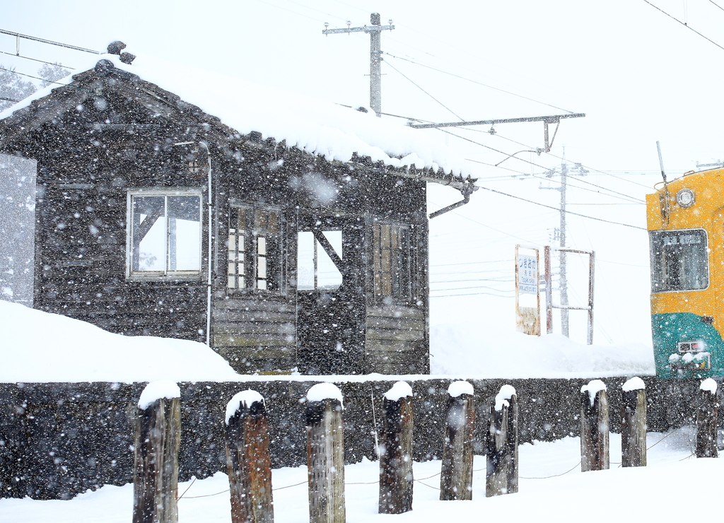 雪が降る・・・