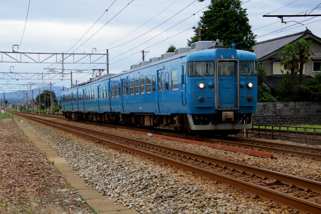 ブルー君~♪　2