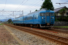 ブルー君~♪　2