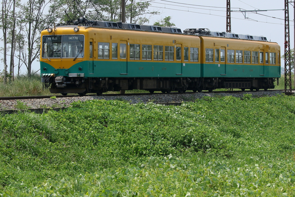 愛すべきカボチャ電車君