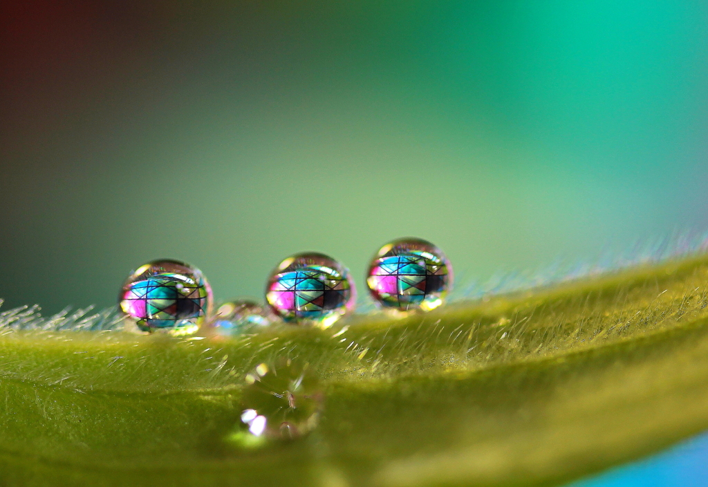 心海ｄｒｏｐｓ