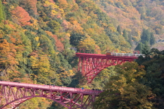 トロッコ電車が秘境を行く