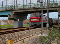 レッドサンダー君が通るよ～♪