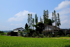 里山の風景