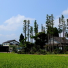 里山の風景