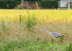 そこの誰かさん～出ておいで^^♪