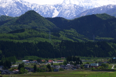 新緑（カボチャ電車君は走る～♪）
