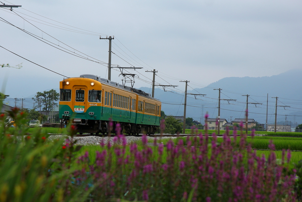 盆花が咲く場所で