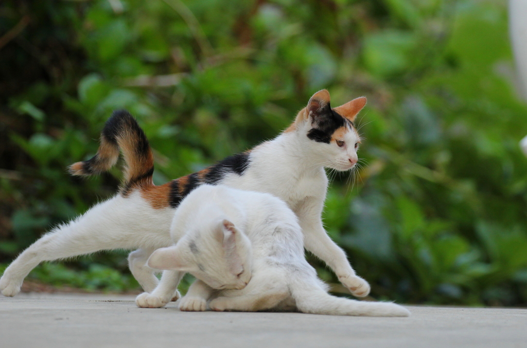 ララララら～♪