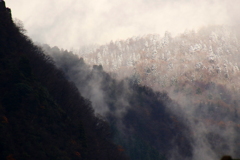 山