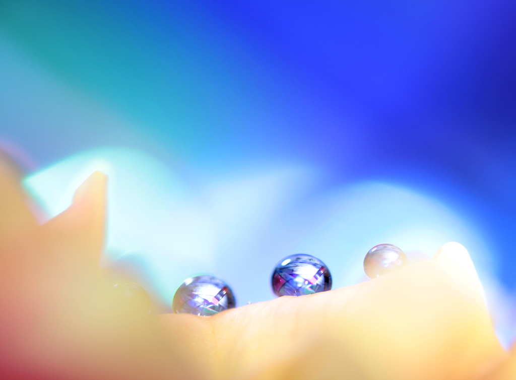 心海ＤＲＯＰＳ　121-1