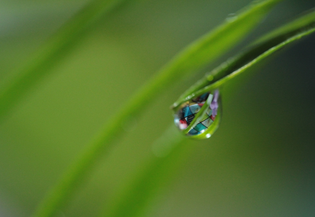 心海ＤＲＯＰＳ　7