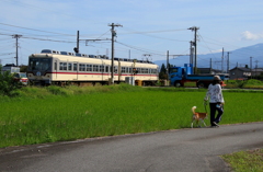 ダイコン君～♪