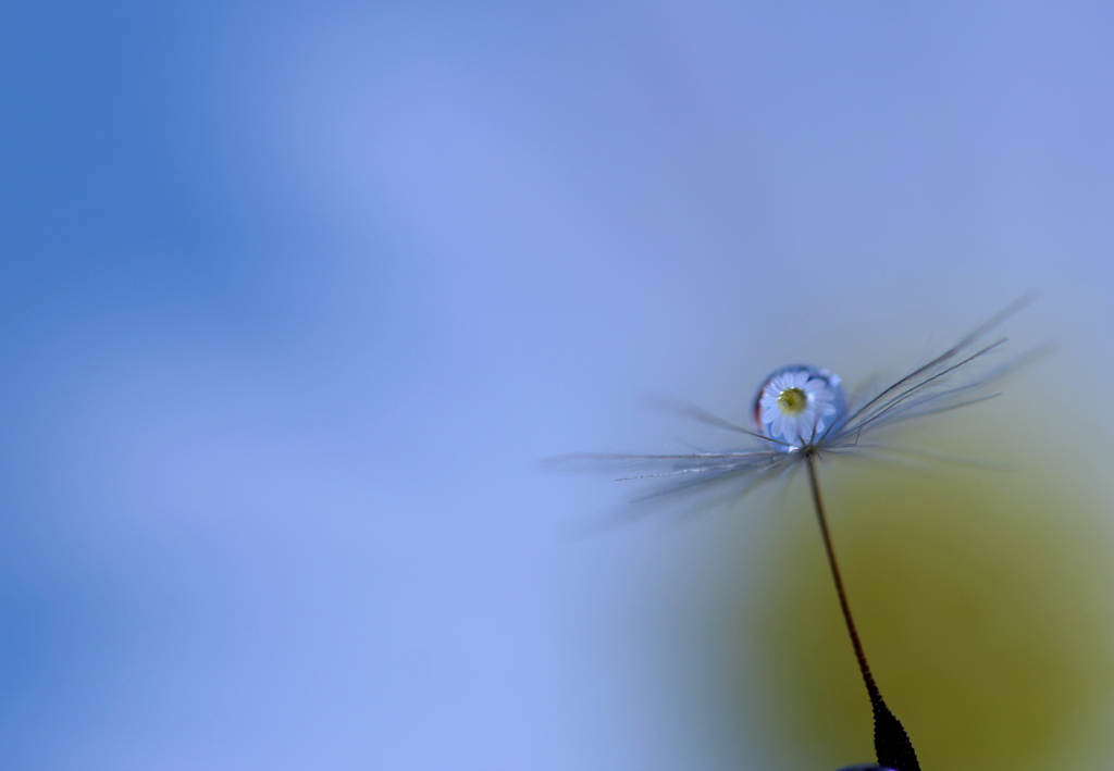 わたしは今～♪