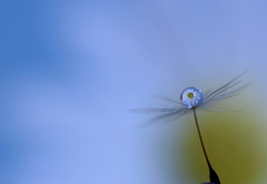 わたしは今～♪