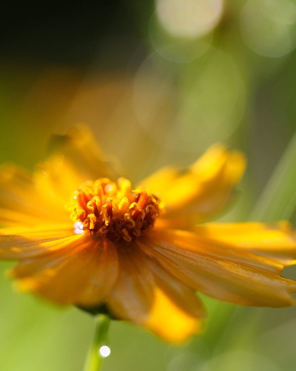 気持ちのいい朝