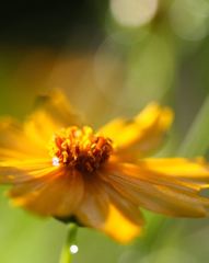 気持ちのいい朝