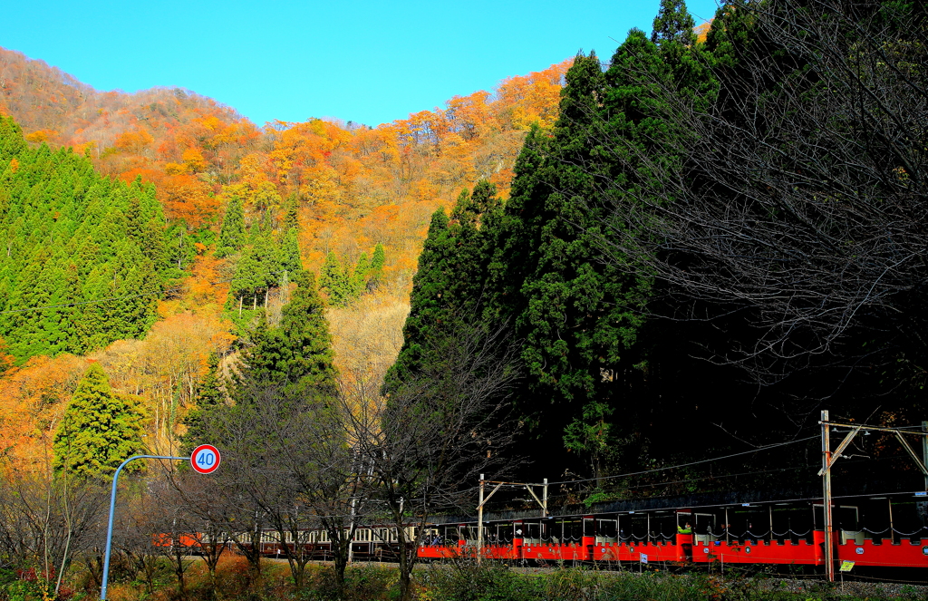 トロッコ列車が行く~♪