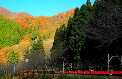 トロッコ列車が行く~♪