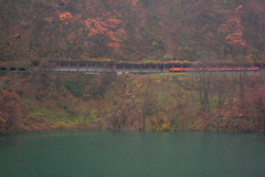 今年最後のトロッコ電車～1