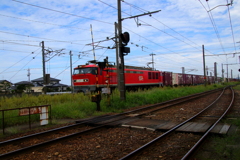 レッドサンダー君～♪