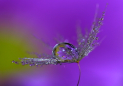 伝えたい～♪出逢いたい