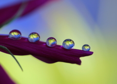 地上の星（それぞれの可能性）