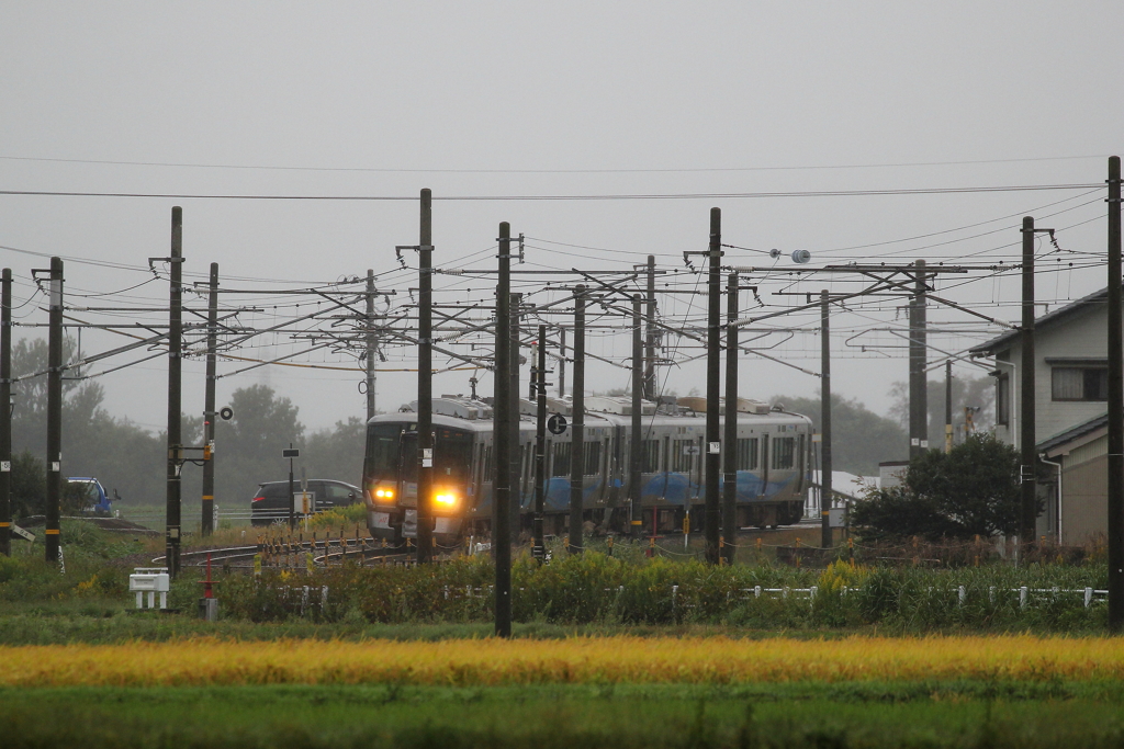 雨の日の楽しみ♪