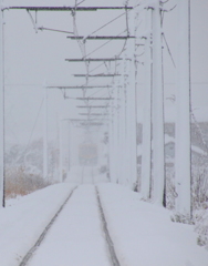 かぼちゃ君～雪の中の後ろ姿が見えなくなるまで・・・。