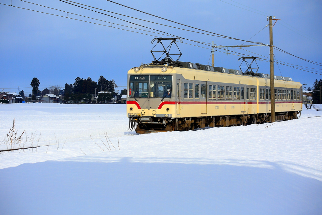 ダイコン君～♪　雪は眩しいね^^♪