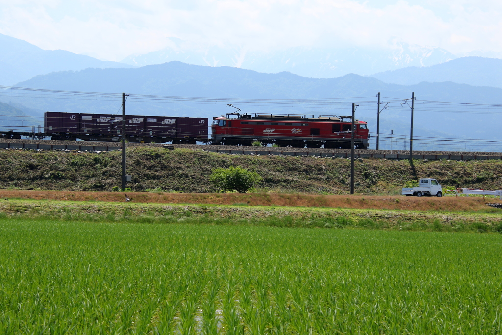 レッドサンダーが貨物を連れてやってきた～！