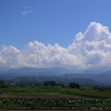 入道雲と里芋畑