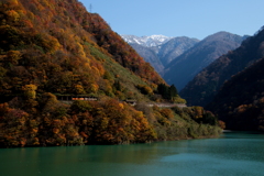 トロッコ列車が行く～♪