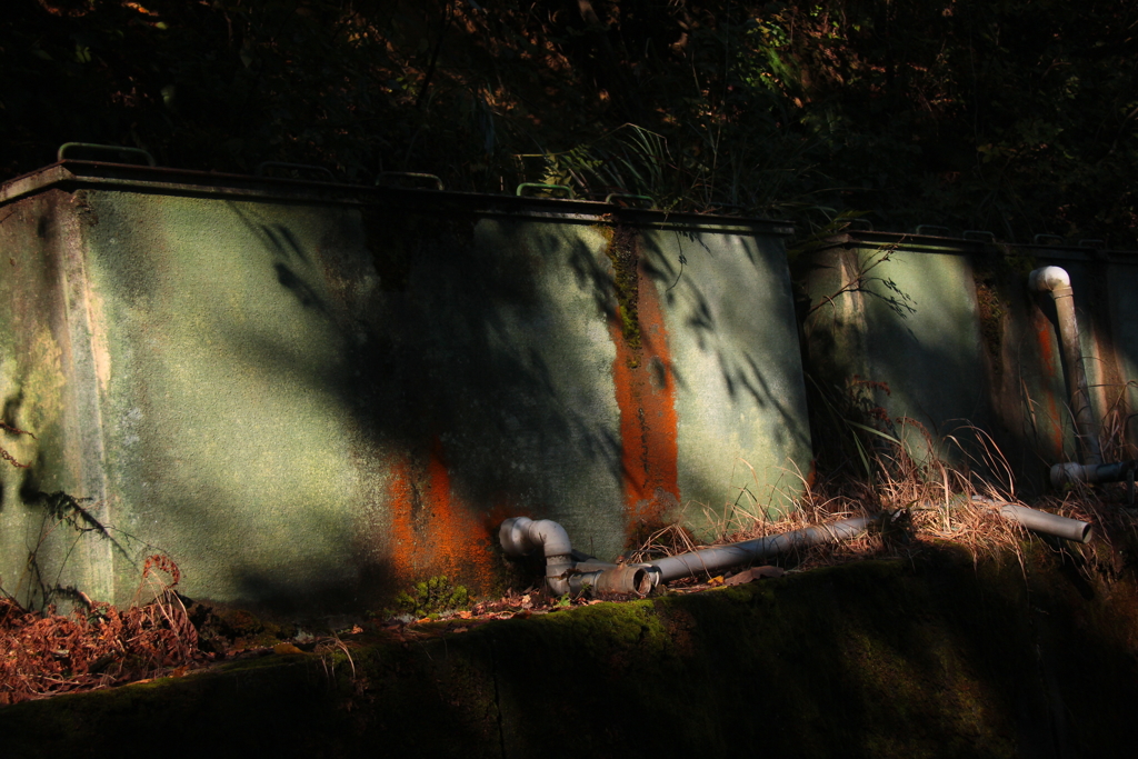 日の当たる場所