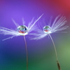 心海ＤＲＯＰＳ・・・