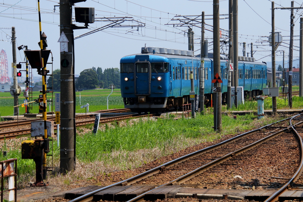 ブルー君、頑張ってるよ(^^)/♪
