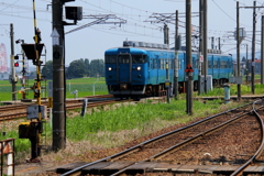 ブルー君、頑張ってるよ(^^)/♪