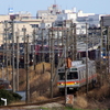 競争だぁ～♪