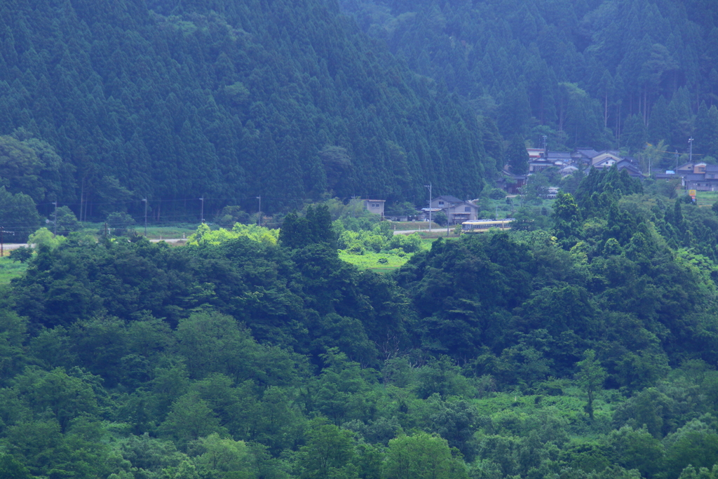 さて問題です！どんな電車君が走っているでしょう？