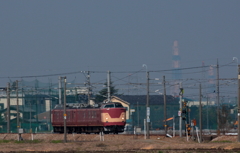この顔立ちの電車君は初めてかも
