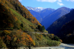 トロッコ列車が行く~♪