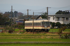 ダイコン電車君が行く～♪