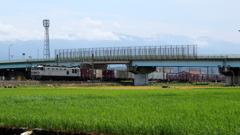 貨物君～♪お名前は？