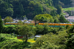 かぼちゃ君W