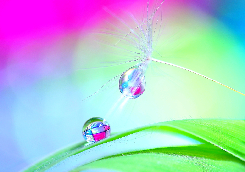 心海ｄｒｏｐｓ