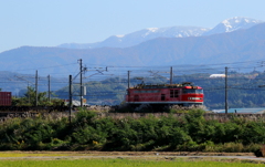 レッドサンダー君